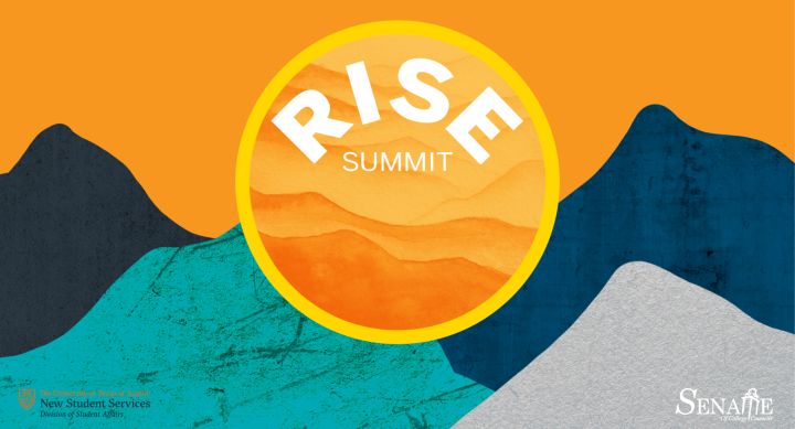 Rise Summit logo on mountain background